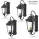 Peale Street 3 Light 22 inch Sand Coal And Vermeil Gold Outdoor Wall Mount, Great Outdoors